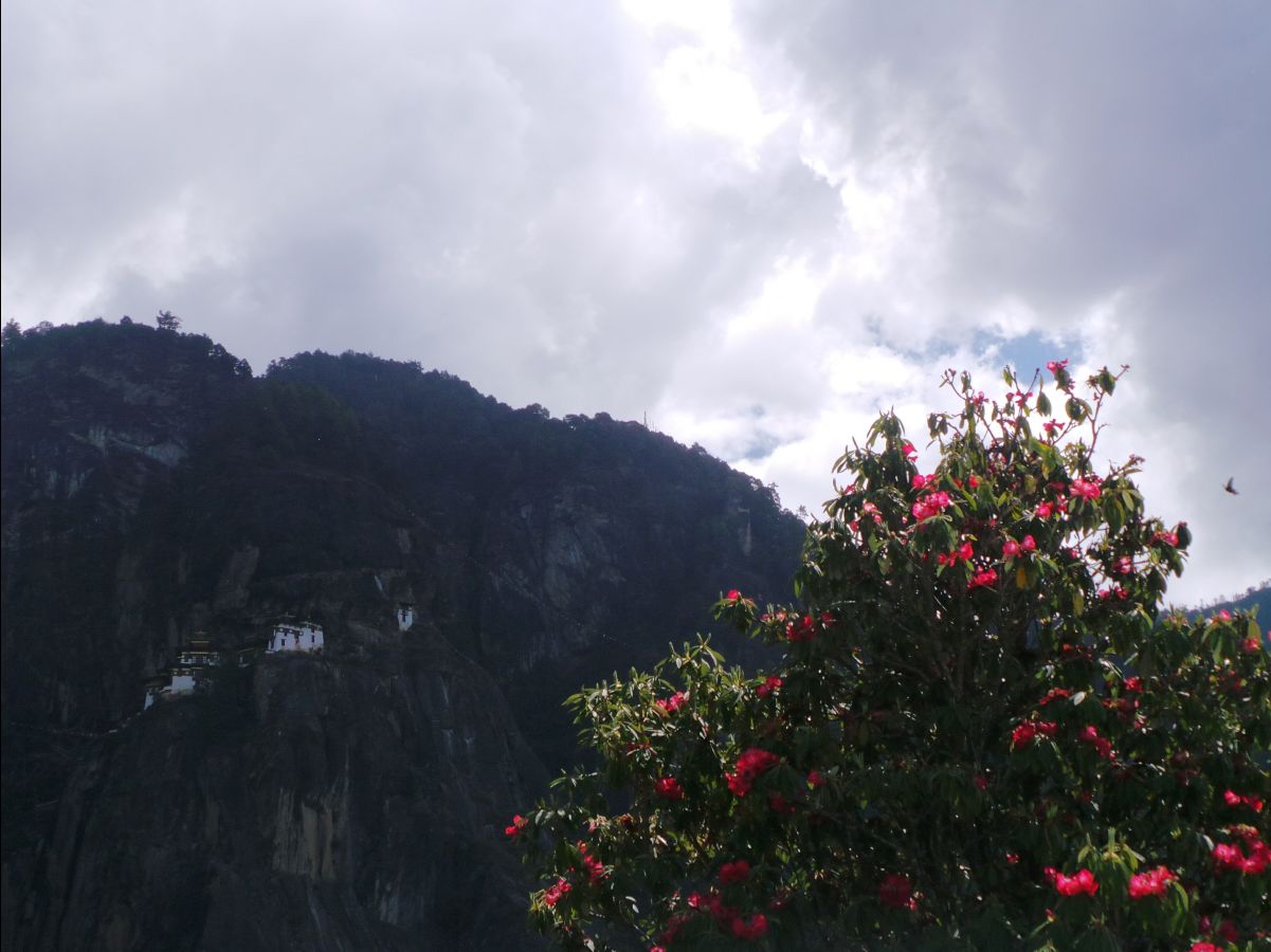Tiger's Nest Monestary Hike045